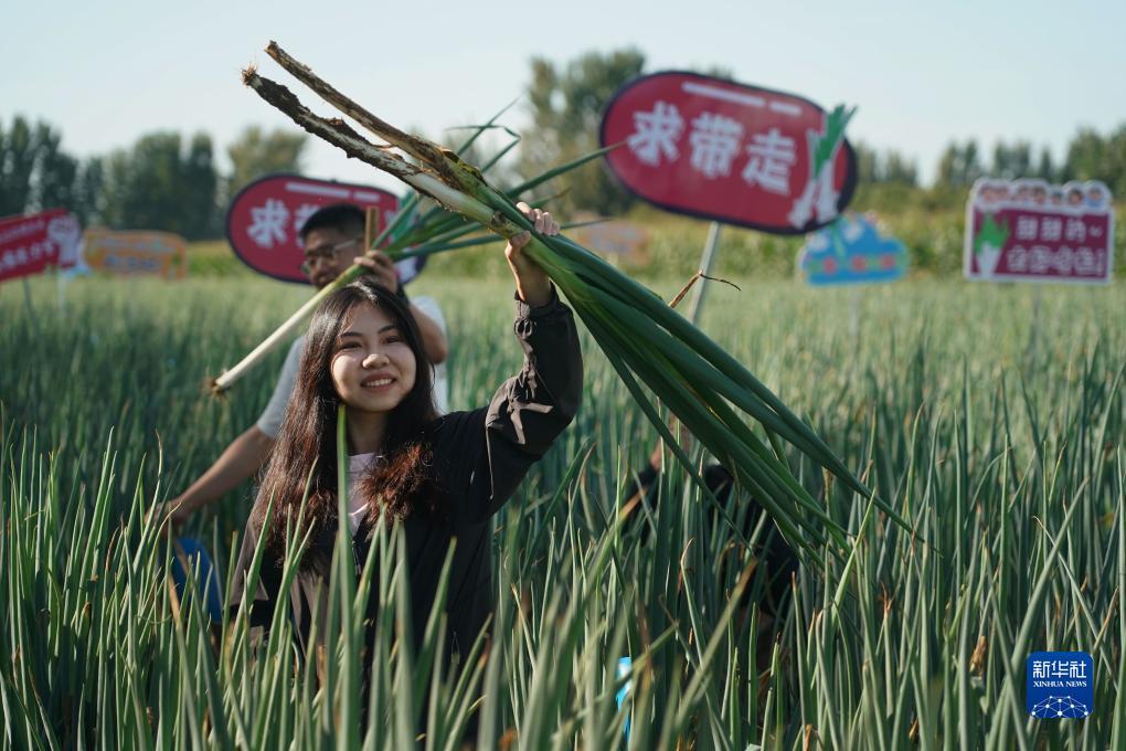 mg娱乐电子哪个平台大